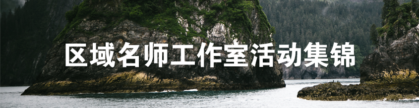 區(qū)域名師工作室活動