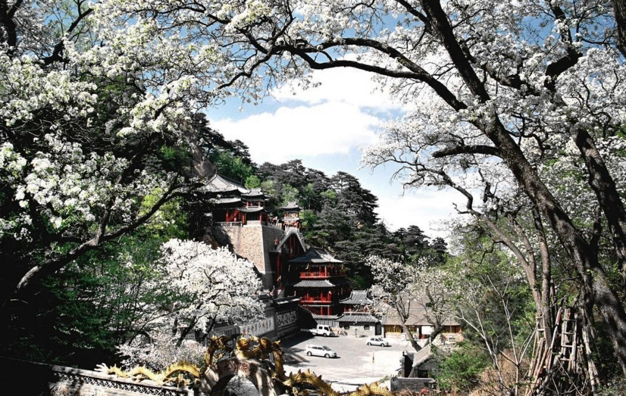 春夏之交北國(guó)風(fēng)光，梨花綻放沁人心脾。東北腹地，千山腳下。